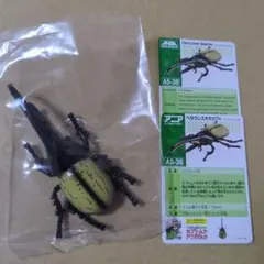 アニア　AS38 ヘラクレスオオカブトのサムネイル