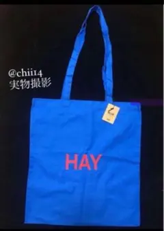 Item thumbnail for item 92e01ab6-9a7a-458e-81c6-204d0d8a9cef