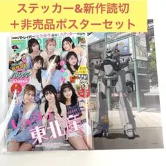 新品】週刊ビッグコミックスピリッツ パトレイバー 第25号 2冊 - メルカリ