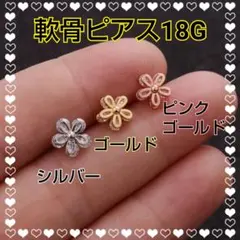 Item thumbnail for item 3b99b208-94c8-436f-b53a-9c07184d0e58