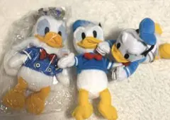 ディズニーランド　ドナルドぬいぐるバッジ　パルパルーザのサムネイル