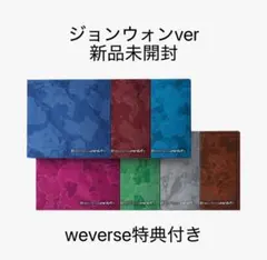 ENHYPEN THE SIN:VANISH ジョンウォン　新品未開封