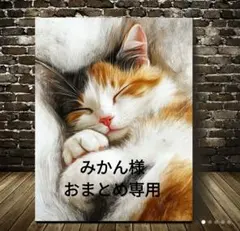 みかん様 リクエスト 3点 おまとめ商品