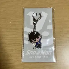 Snow Man LIVE TOUR 2022 アクキー 渡辺翔太 すのチル ➀