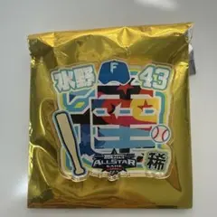 水野達稀 日本ハム 2024オールスターゲーム シークレットアクリルネームバッジ