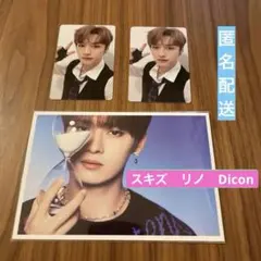 スキズ　リノ　stray kids ポストカード　トレカ