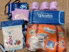 ディズニー ファンタジースプリングスホテル アメニティ バケパ ブランケット