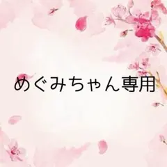 めぐみちゃん スクイーズ他
