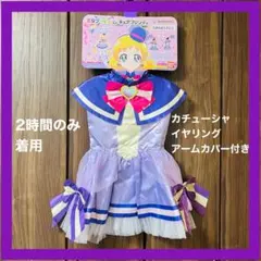【美品】キュアフレンディ　変身プリチューム　衣装　アクセサリーセット