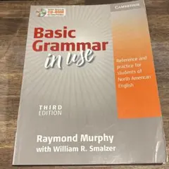 Basic Grammar in Use without Answers