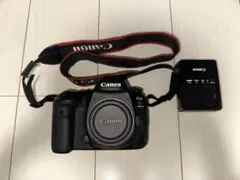 豪華フルセット】Canon EOS-1Ds Mark III 純正バッグ付 - メルカリ