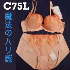 C75Lセット　天使のブラ・魔法のハリ感596
