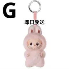 ASCE18(出品者様へブロフ確認願い) LABUBU 2個セット ASCE18(出品者様へブロフ確認願い) LABUBU 2個セット ASCE18