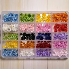 ●花材セット スターフラワーミニ スターフラワー・ブロッサム ケース入り●17