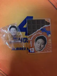 アルビレックス新潟 グッズ