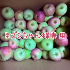 ネズミちゃん様専用