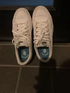 Item thumbnail for item b08c711a-36a9-4069-9fd1-d0a13b5727db