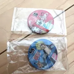 ワンピース　マグネット