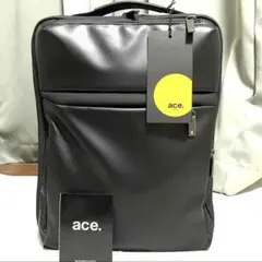 ［エースジーン] ビジネスリュック ガジェタブルWR 収納 A4対応 9リットル