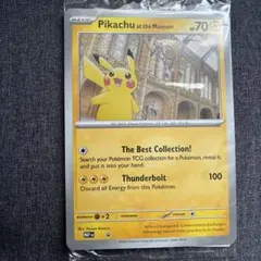 発送予定日25日〜 2枚 イギリスロンドン自然史博物館ピカチュウPikachu