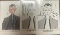 鶴蝶 ぱしゃこれ