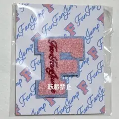 FANTASTICS FAN FAN JUMP サガラ織りバッジ グッズ