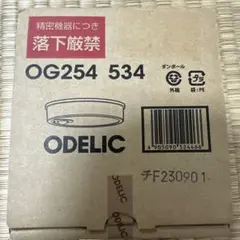 オーデリック ODELIC OG254 534
