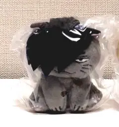 ハイキュー　アニマルぬいぐるみマスコット　クロオネコ