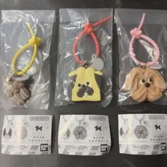 ♡Maison terrier メゾンテリア カラフルマルチチャーム 2個セット