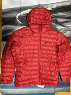 【美品】パタゴニア　ダウンセーターフーディー　 M