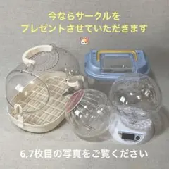 大幅最終値下げ！ハムスター 遊具 体重計 ハウス 4点セット + プレゼント商品のサムネイル