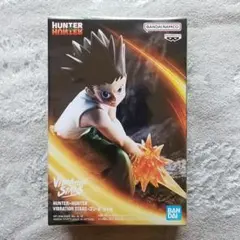 ハンターハンター ゴン フィギュア