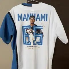 Item thumbnail for item 43fade26-7bc5-4d89-98ed-efe45128c830