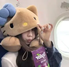 Item thumbnail for item 497a609f-84a9-41d6-ac0f-3804a91cd888