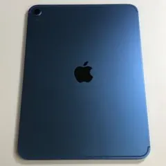 ジャンク品】iPad A16 第11世代 256GB セルラー - メルカリ