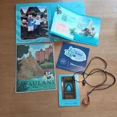 ハワイ　アウラニ　ディズニー　記念品　非売品　ノベルティ