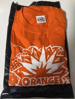 Item thumbnail for item 4378a116-17a0-4394-98bd-710f015c304a