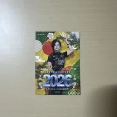 2026年最新】セガサミーフェニックスの人気アイテム - メルカリ