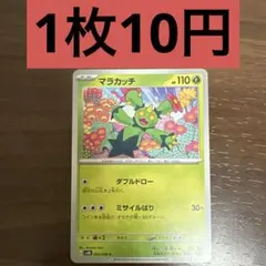 マラカッチ C 残り1枚のサムネイル