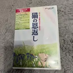 Item thumbnail for item 45778235-b657-4c01-9324-c36bbcfaeac7