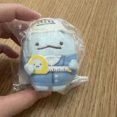 新品未使用 すみっコぐらし 一条工務店 ぬいぐるみ マスコット　とかげ