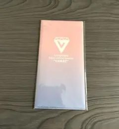 SEVENTEEN　セブンティーン　ファンクラブ特典　チケットホルダー