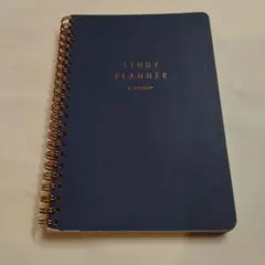 Item thumbnail for item dd54bb56-836f-4988-b6c0-7246fb5dfb61