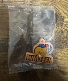 MINITEEN セブチ ミニティーン めじるし