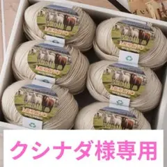 高級毛糸 メリノウール ライトベージュ6玉300g