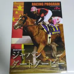 匿名配送】送料込み！ディープインパクト 第66回菊花賞 レーシング