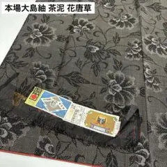 本場大島紬 茶泥 花唐草 美しい絣柄 正絹 AK-8172