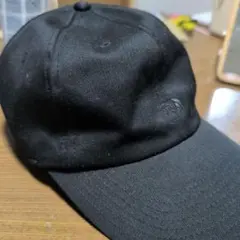 THE NORTH FACE パープルレーベル　キャップ