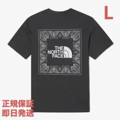 ❗️期間限定SALE❗️ノースフェイスNSE BANDANA S/S R/TEE 2