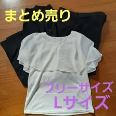 Item thumbnail for item c8d4b95c-f5ab-4299-9f72-9d48e1bad0bb